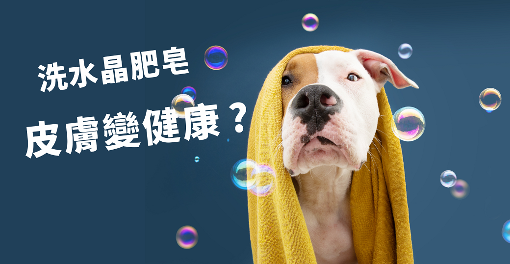 【知識大補帖】寵物能用水晶肥皂洗澡嗎？